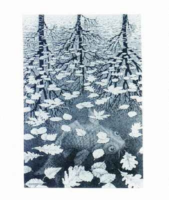 M.C. Escher Three Worlds Poster